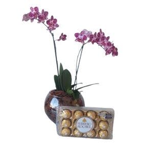 Orquídea e Ferrero 