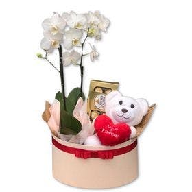 Box com Orquídea você é especial